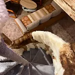 I Taterka Apartamento Kościelisko